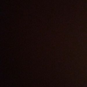 Meet your Posher, Daisy